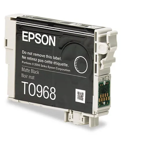 EPSON-T096820