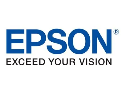 EPSON-T693300