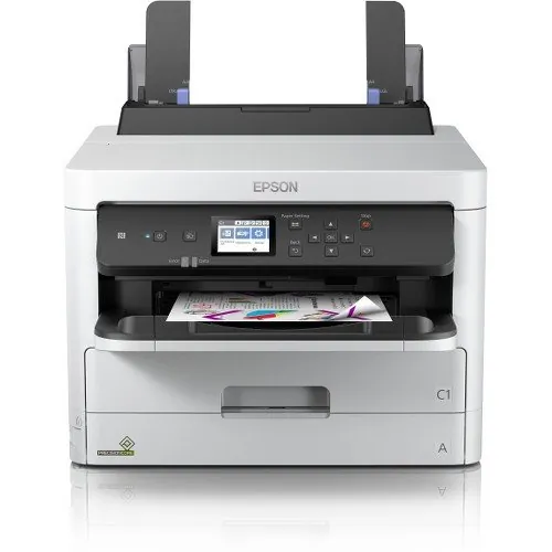 EPSON-C11CG06201