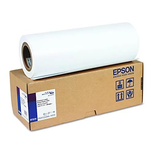 EPSON-S042079