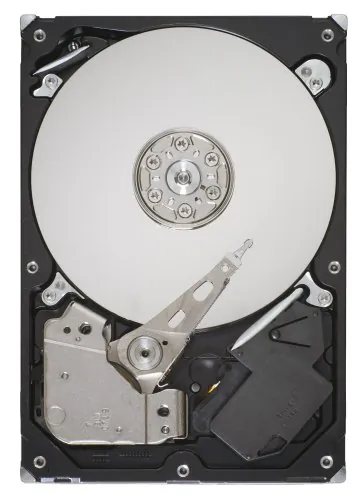 SEAGATE-ST3160318AS