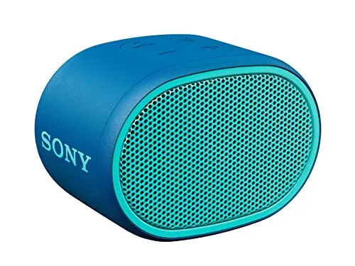 SONY-SRSXB01/L