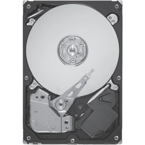 SEAGATE-ST9300605SS