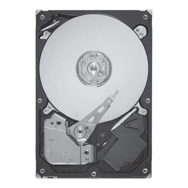 SEAGATE-ST9300605SS