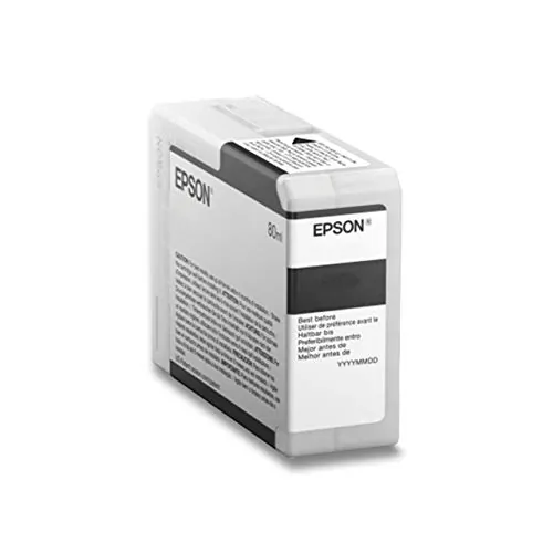 EPSON-t850100