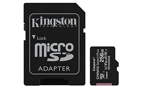 KINGSTON-SDCS2/256GB