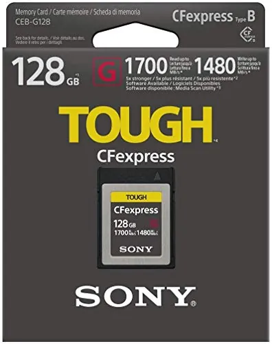SONY-CEBG256/J