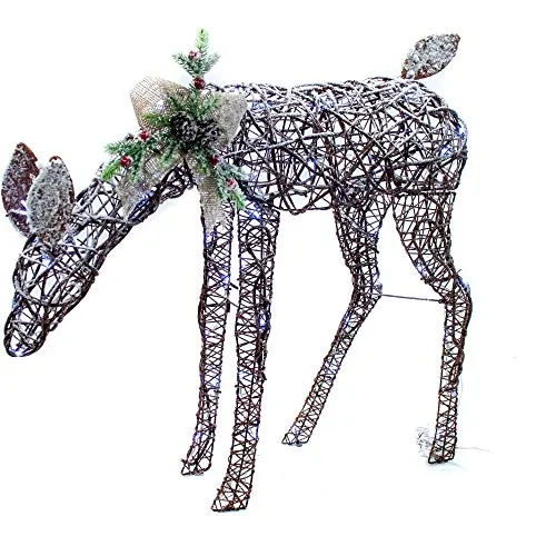 Gardman USA-G48WBD2018454