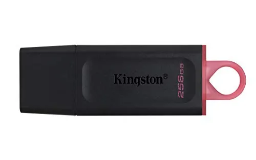 KINGSTON-DTX/256GB