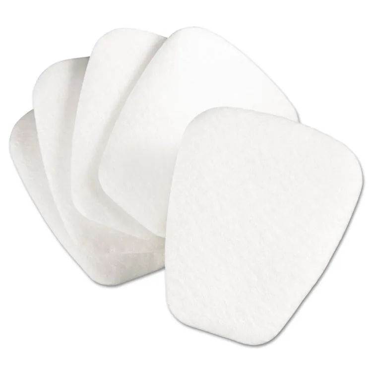 Disposable Filter Masks