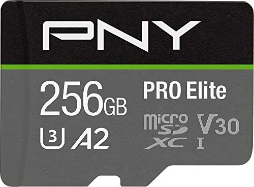 PNY Technologies-P-SDU256V32100PRO-GE