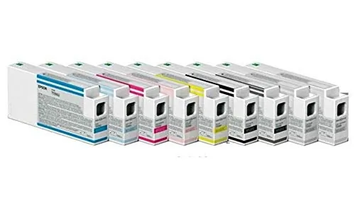 EPSON-T800600