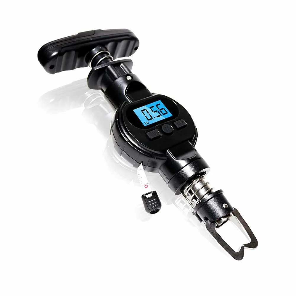 Fish Logger-FL01