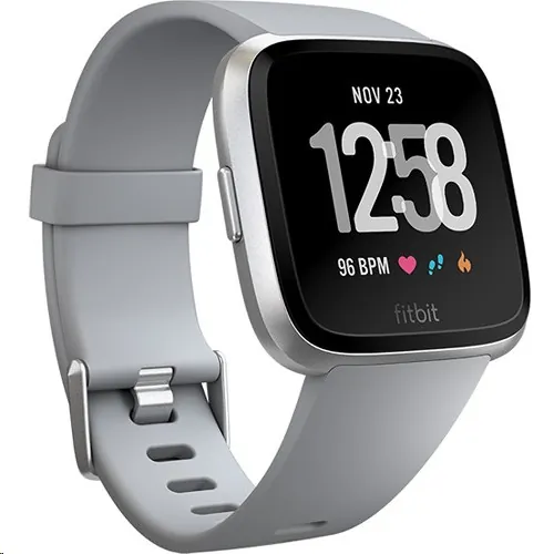 Fitbit-FB504SRGY