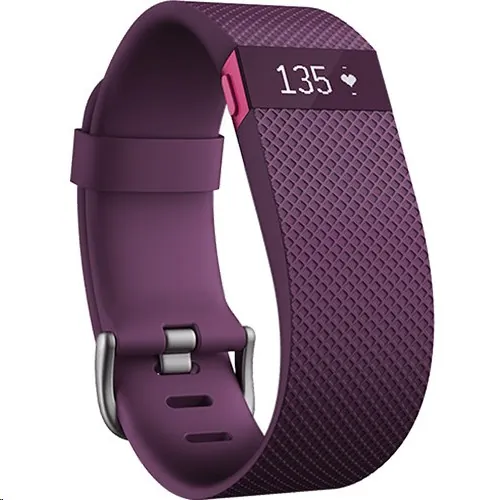 Fitbit-FB405PMS