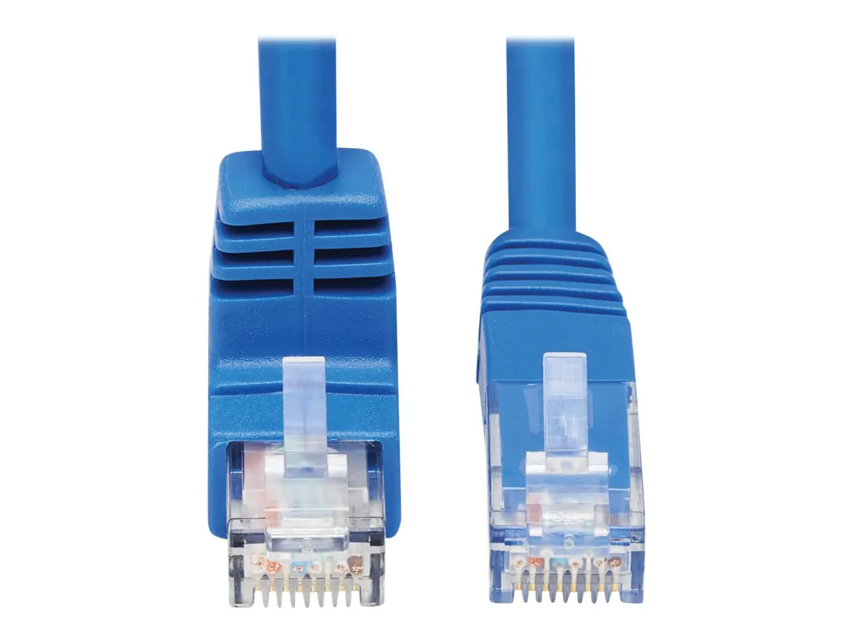 Tripp Lite-N204-020-BL-DN