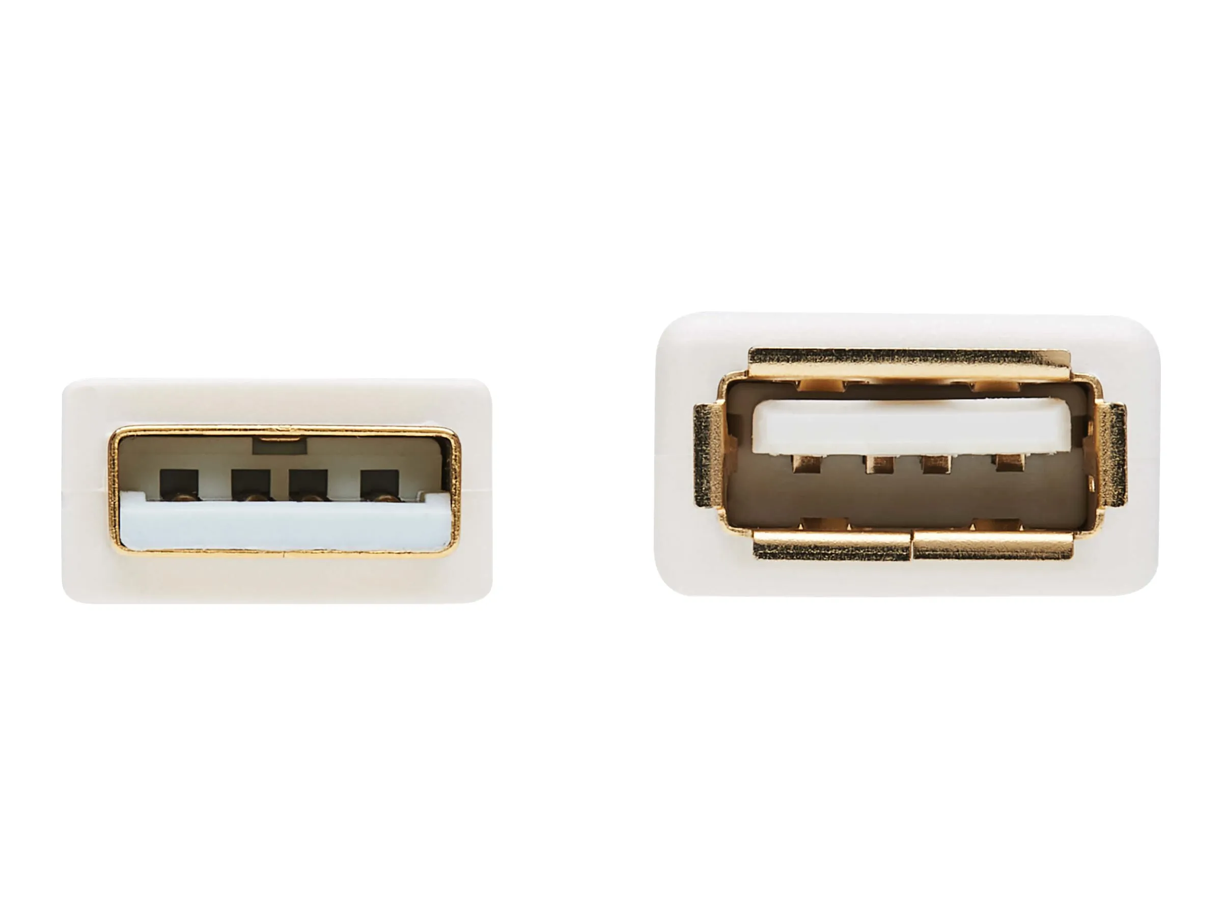 Tripp Lite-U024AB-003-WH