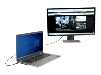 BLACK BOX CORPORATION-VA-USBC31-DP12-006