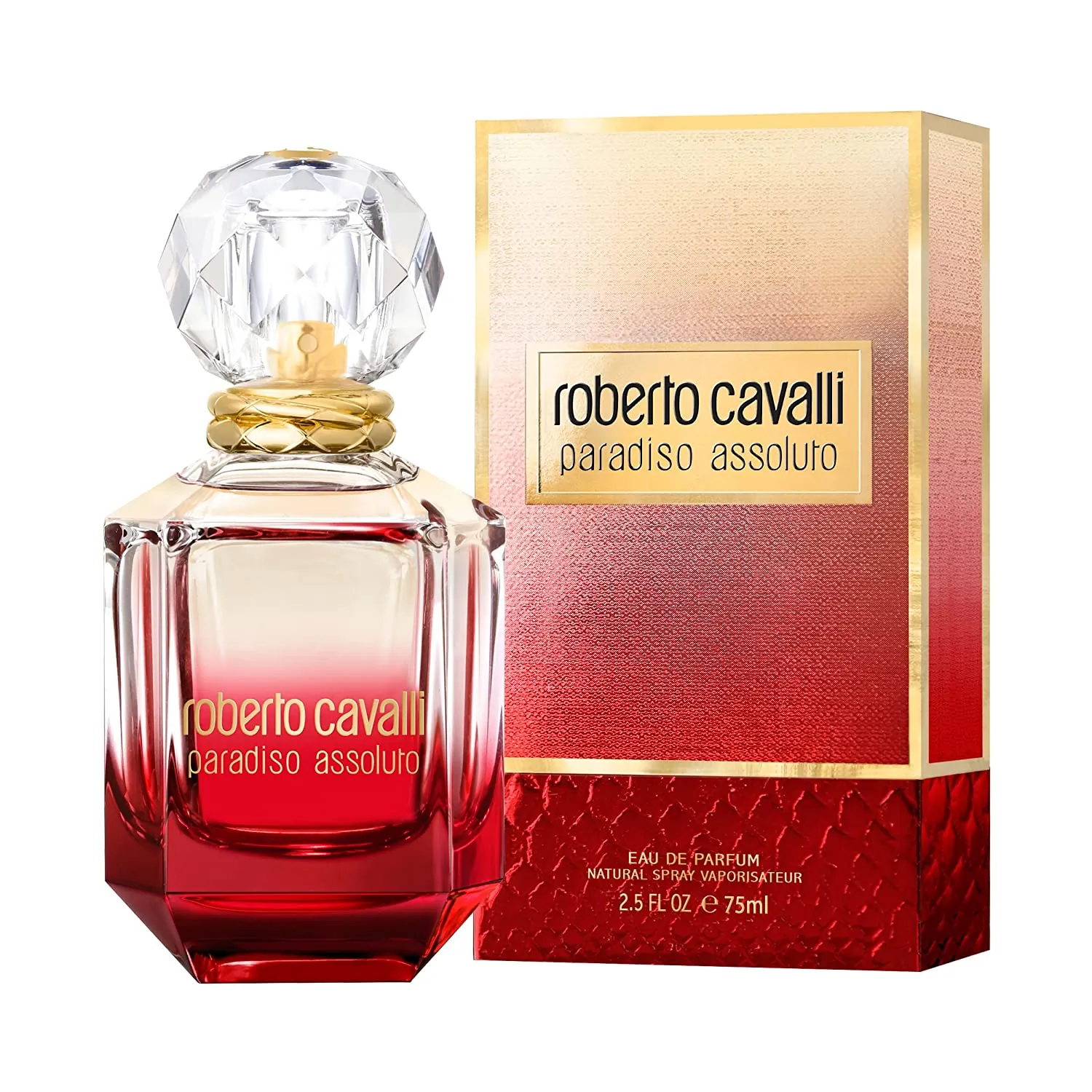 Roberto Cavalli-537140