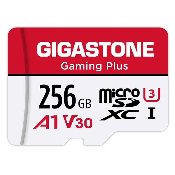 GIGASTONE-GS-2IN1-A1V30GAME-256GB-R