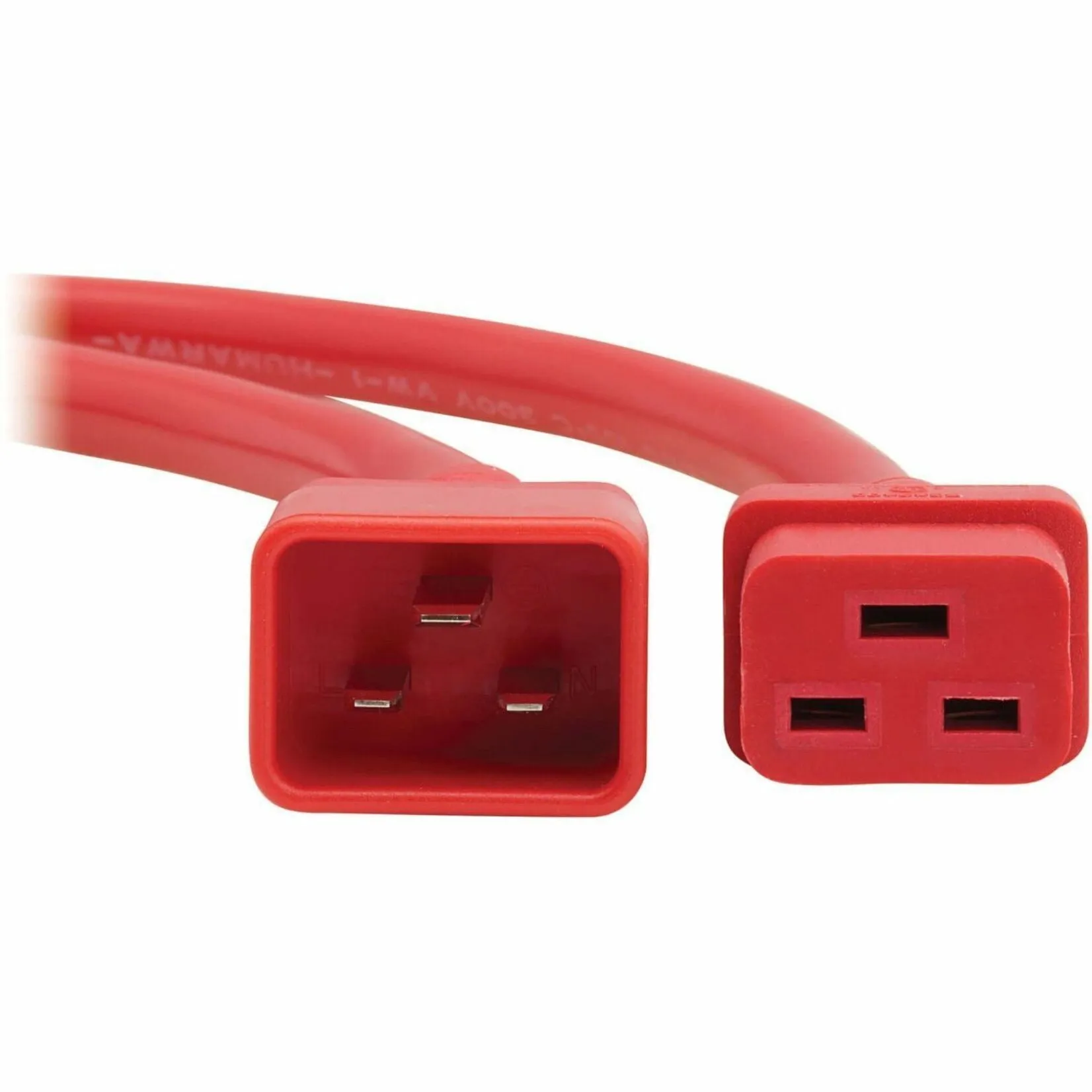 Tripp Lite-P036-002-ARD