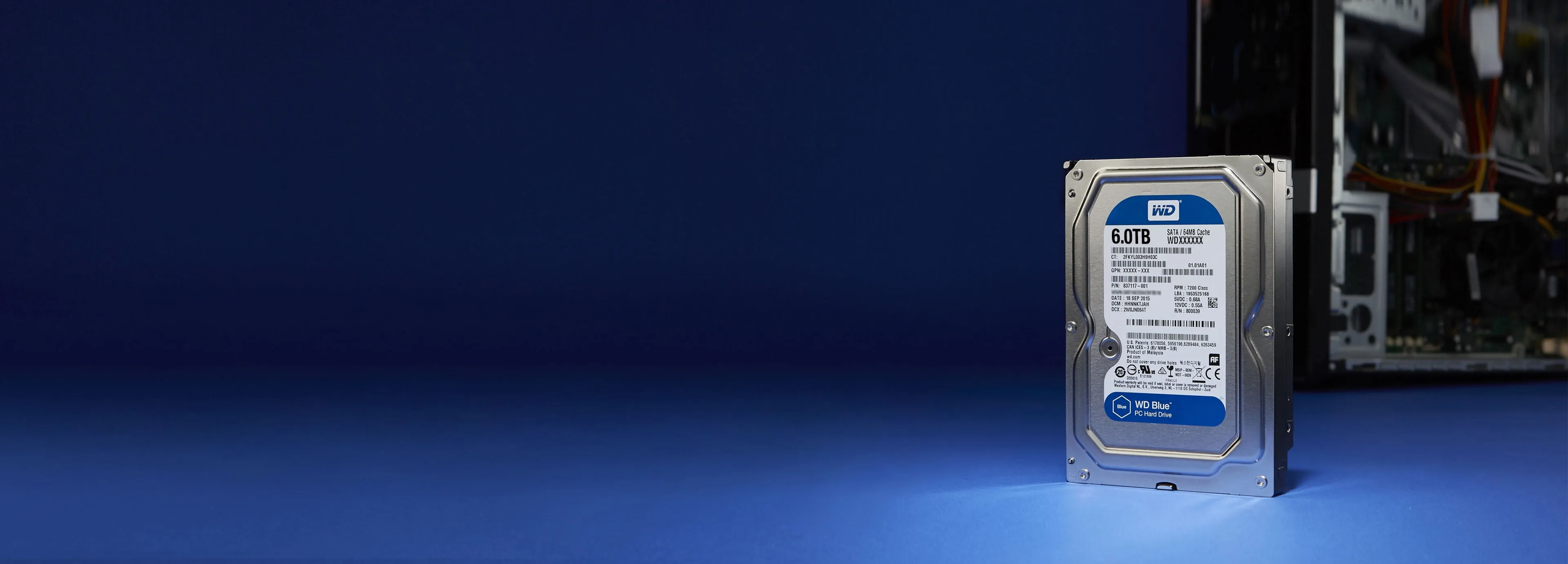 Western Digital-WD100EAGZ