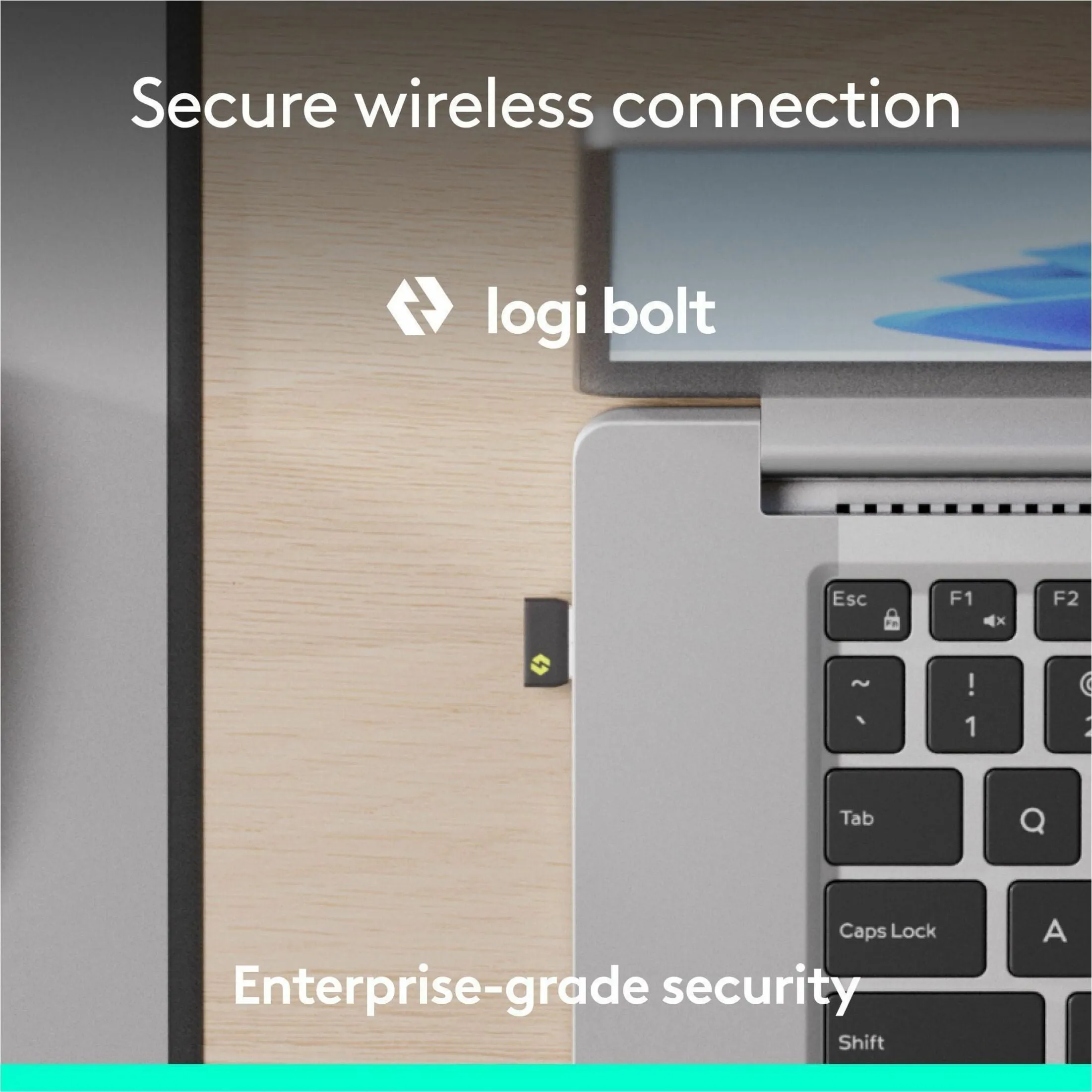 Logitech-920-013271