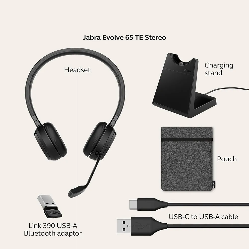 Jabra-6699-833-499-01